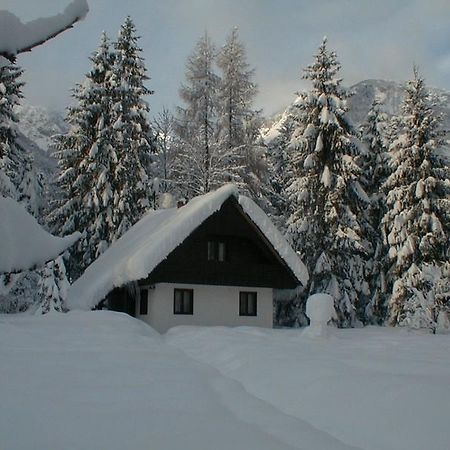 Apartmaji In Sobe Bohinjsko Jezero Ukanc エクステリア 写真
