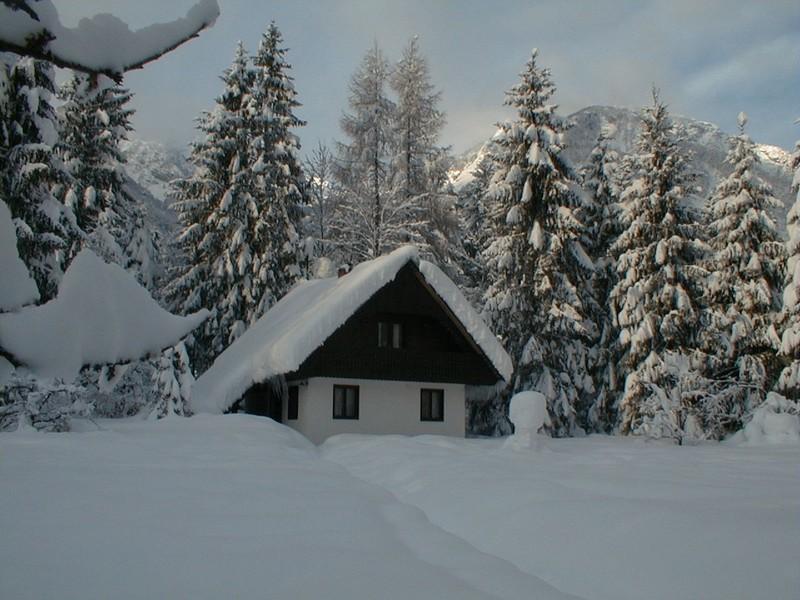 Apartmaji In Sobe Bohinjsko Jezero Ukanc エクステリア 写真