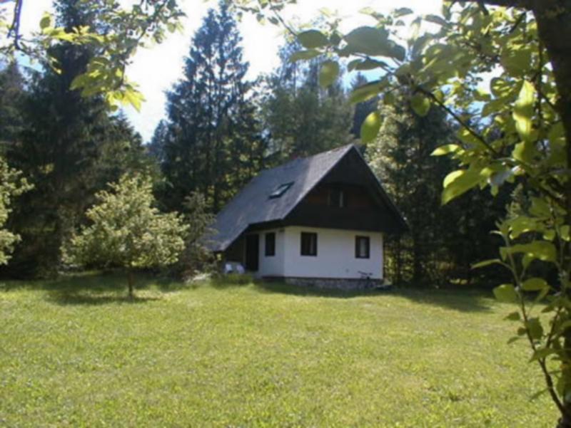 Apartmaji In Sobe Bohinjsko Jezero Ukanc エクステリア 写真